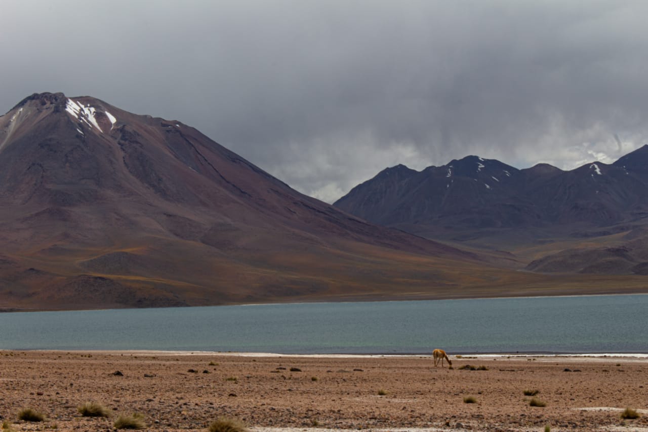 Laguna Miscanti no Deserto do Atacama no passeio Lagunas Altiplânicas..